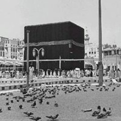 B.AliKhan