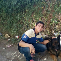 فارس صيام