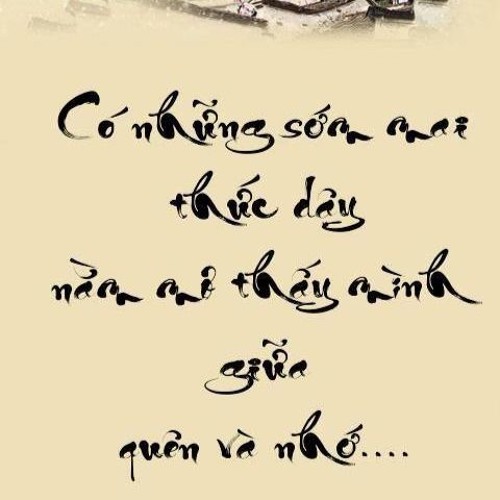 Vương Vũ Văn’s avatar