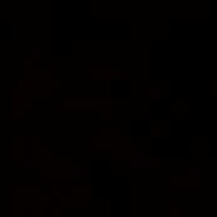 AA