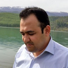 Reza Farin Mehr