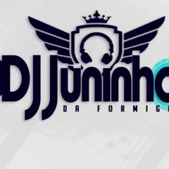 DJ JUNINHO DA FORMIGA