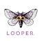 Looper Beats