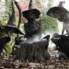 Maialen Goikoetxea Corres