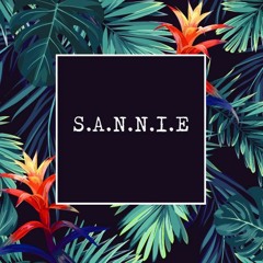 S.A.N.N.I.E