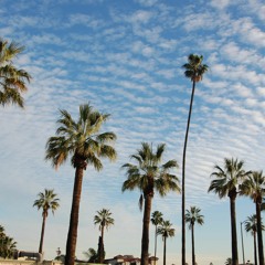 Vanessa Hernandez 141