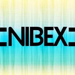 NIBEX