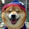 Gavin Chan