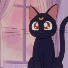 kawisia