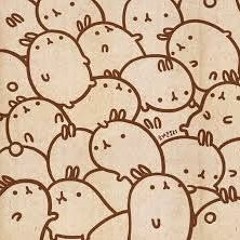Miffys