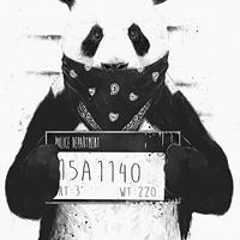 killerpanda