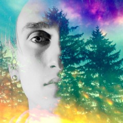 clemmy g's highschool journal