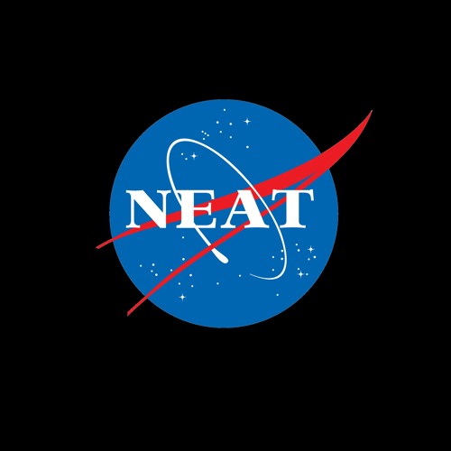 NEAT’s avatar