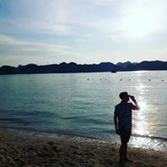 Việt Anh