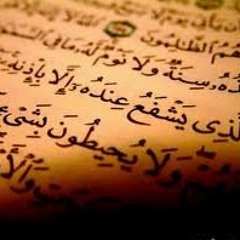 الشيخ احمد الحذيفي