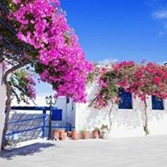 صابر ابوملك الطيب