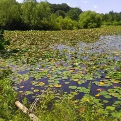 Strangers Of The World
