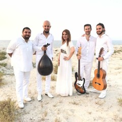 Musicians Without Borders موسيقيون بلا حدود