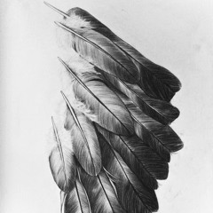 akkulss