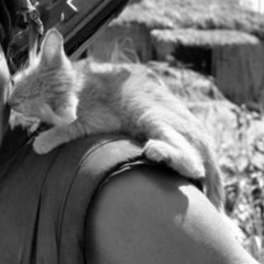 Nicebeatzprod. - Люди Нужны Мне...