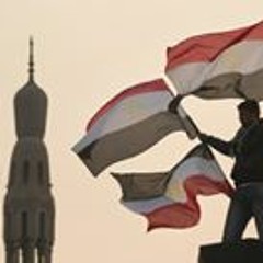 Tarek Mohammed