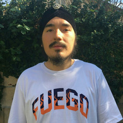 dugisol13
