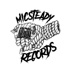 MicSteady Records