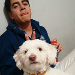 Leonardo Meneses