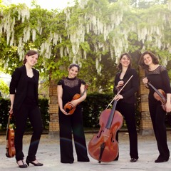 Quatuor Akilone
