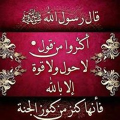 ظلال النخيل