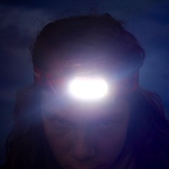 ZumTanzendenElefanten