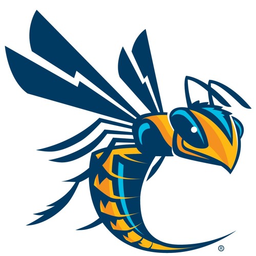 Cedarville University Yellow Jackets’s avatar