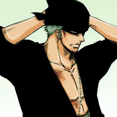 Zoro's on the Track