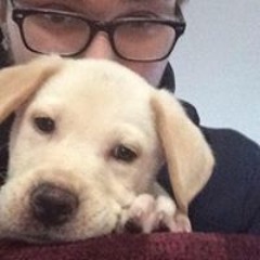 Austin Matthew Stone