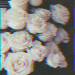 FrozenRoses