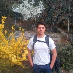 Amir Salar Pourhasan