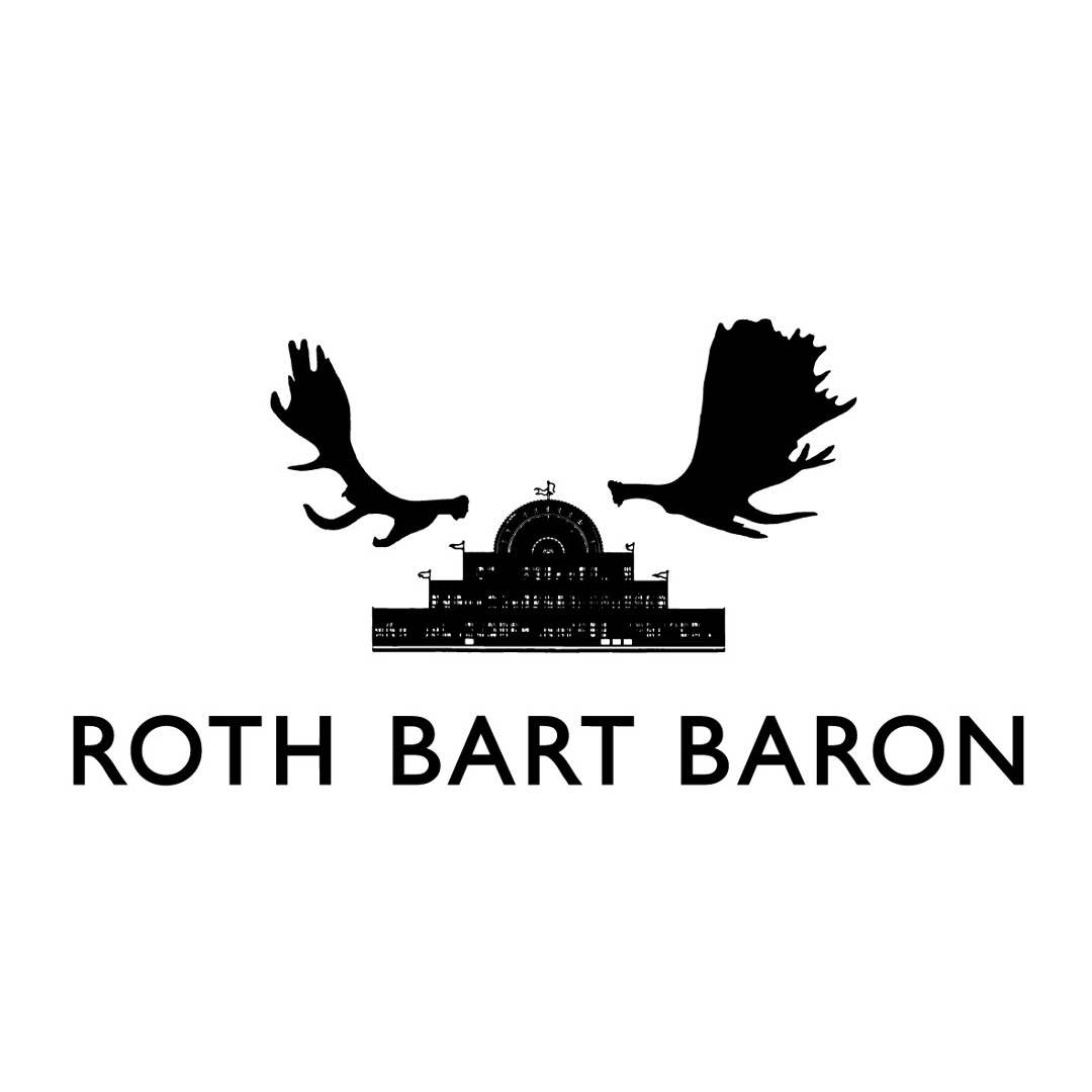 ROTH BART BARON 『ロットバルトバロンの氷河期』 ｜ felicity