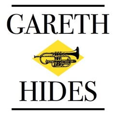 Gareth Hides