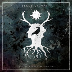 Seeds Of Mary