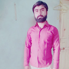 meer murtaza
