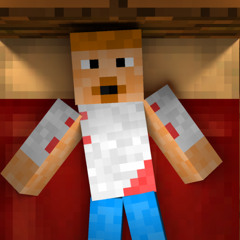 minecraft disc11