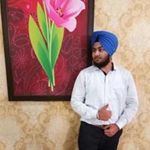 Harman Preet Singh’s avatar