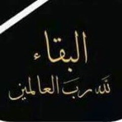 Ahmed Adel Alhawary