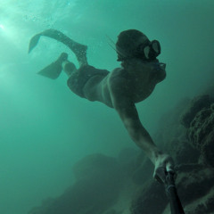 Avi Szternfeld