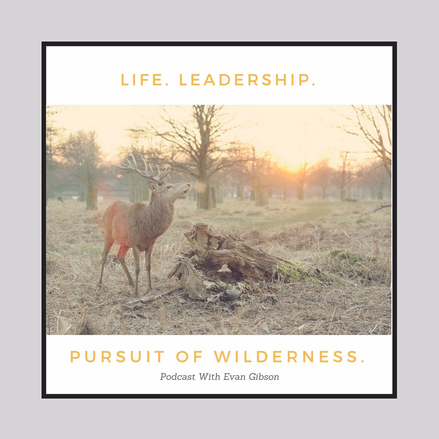 Life, Leadership and the Pursuit of Wilderness
