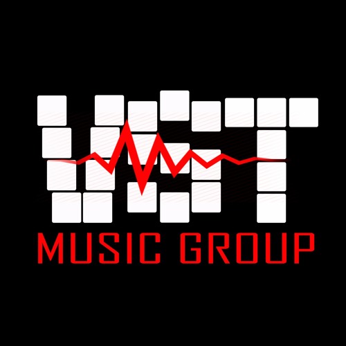 VST Music Group’s avatar