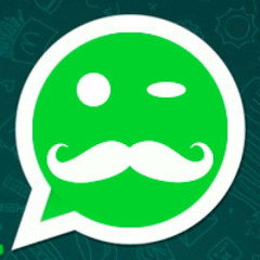 VÍDEOS DO Whatsapp