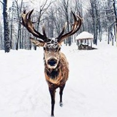 ого