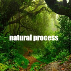 natural process