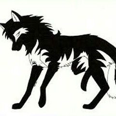 Wolf assasin223